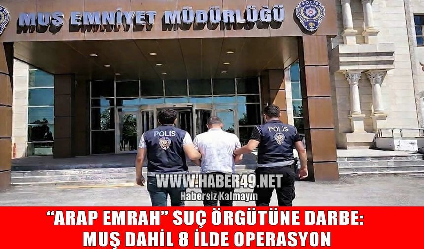 Muş dahil 8 ilde "Arap Emrah" organize suç örgütüne operasyon: 33 gözaltı