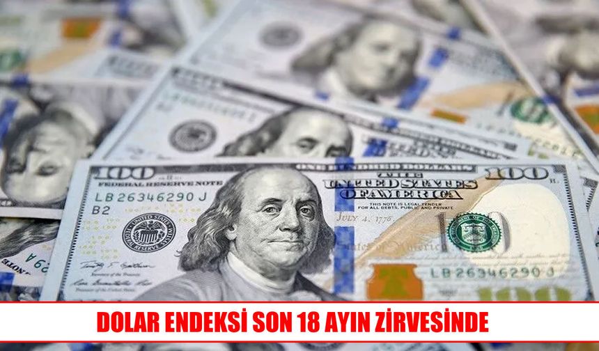 Dolar endeksinde 18 ayın en yüksek seviyesi