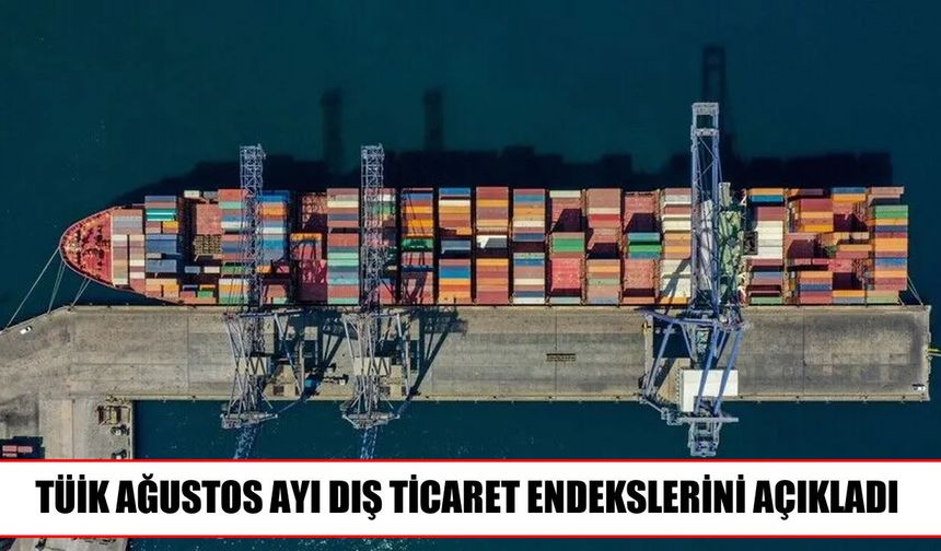 TÜİK verileri açıklandı: İthalat birim değerindeki artış daha yüksek