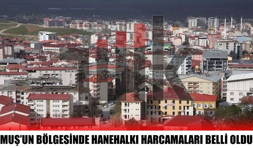 Muş’ta hanehalkı harcamalarında gıda ve kira öne çıktı