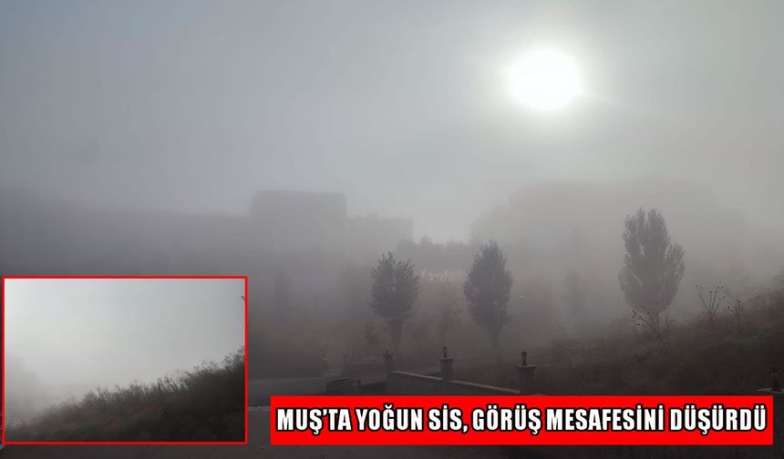 Muş’ta görüş mesafesi 30 metreye kadar düştü