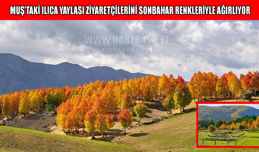 Ilıca Yaylası sonbaharın renkleriyle büyülüyor