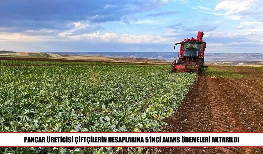 Pancar üreticilerine 952 milyon liralık avans ödemesi