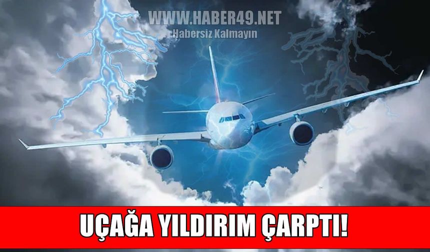 İstanbul-Muş seferini yapan yolcu uçağına yıldırım isabet etti