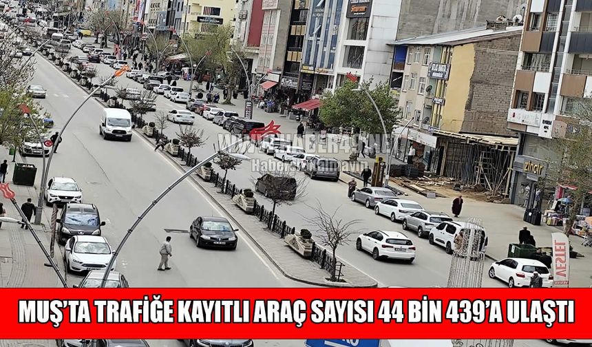 Muş’ta araç sayısı 44 bini aştı
