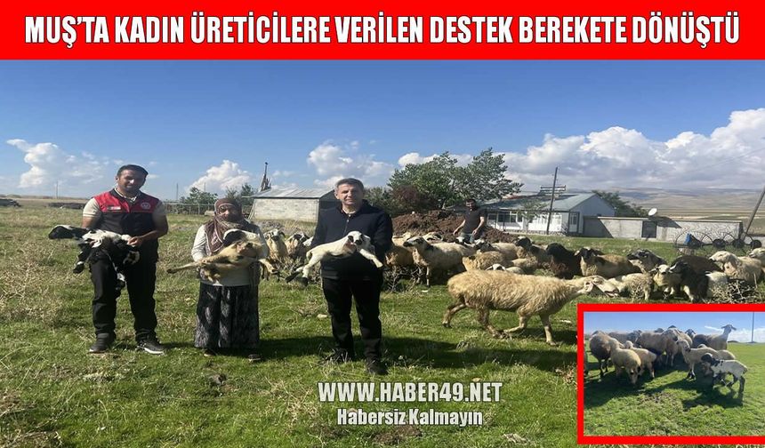 Muş’ta kadın üreticilere verilen küçükbaş hayvan desteği üretime dönüştü