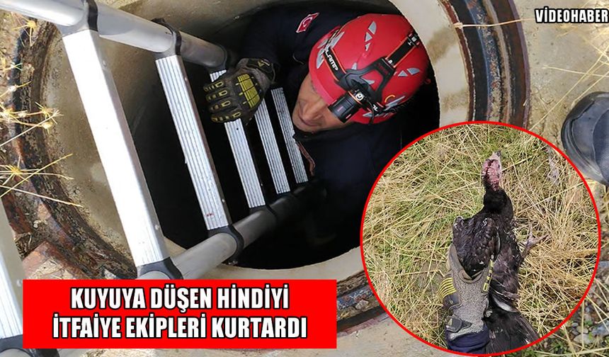Muş’ta kuyuya düşen hindi kurtarıldı