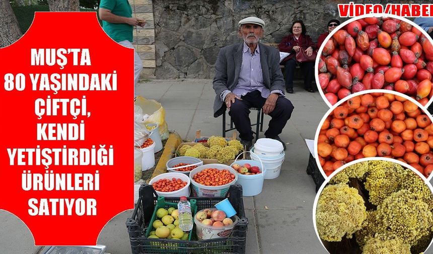 Muş’ta 80 yaşındaki çiftçi yıllardır ürettiği şifa deposu ürünleri satışa sunuyor