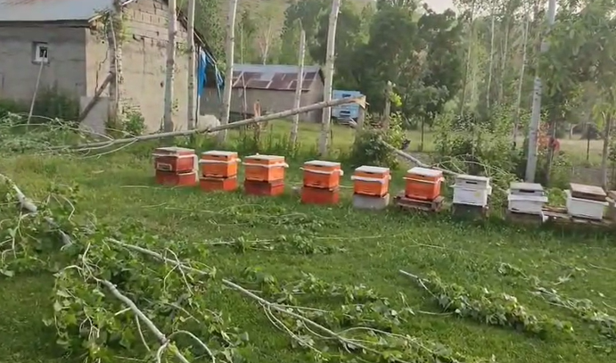 Ekran Görüntüsü 2025 06 13 192540