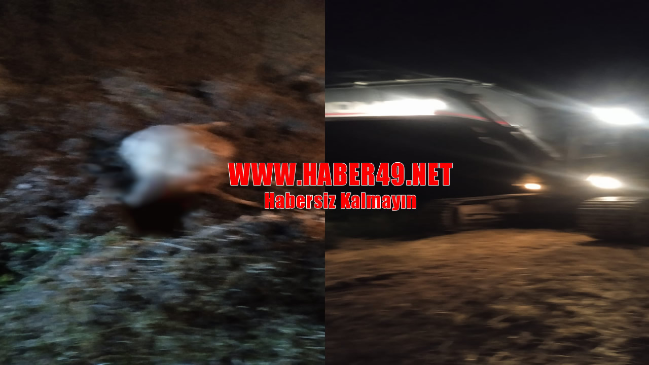 H-1