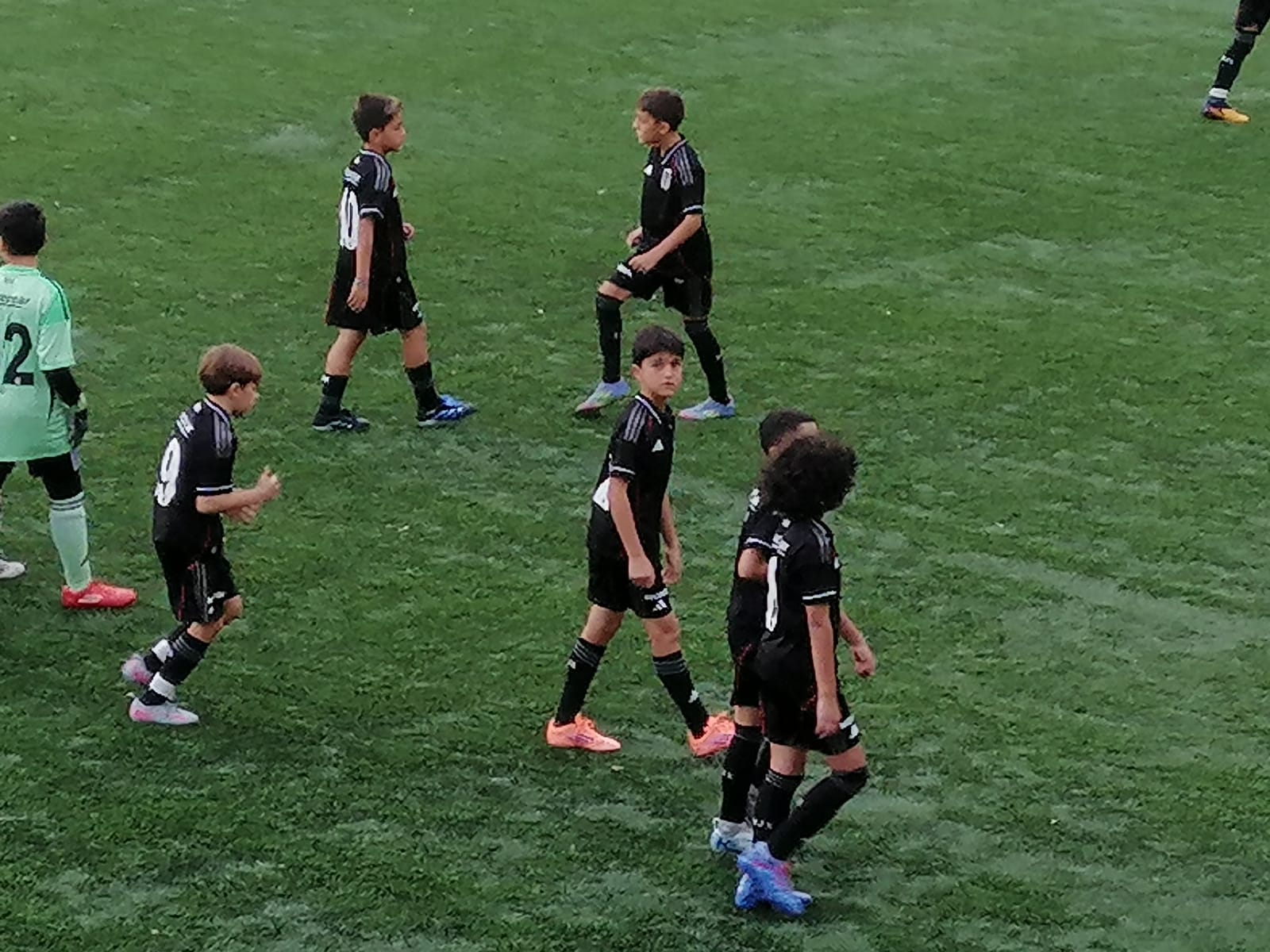 I M G 20251031 W A0014