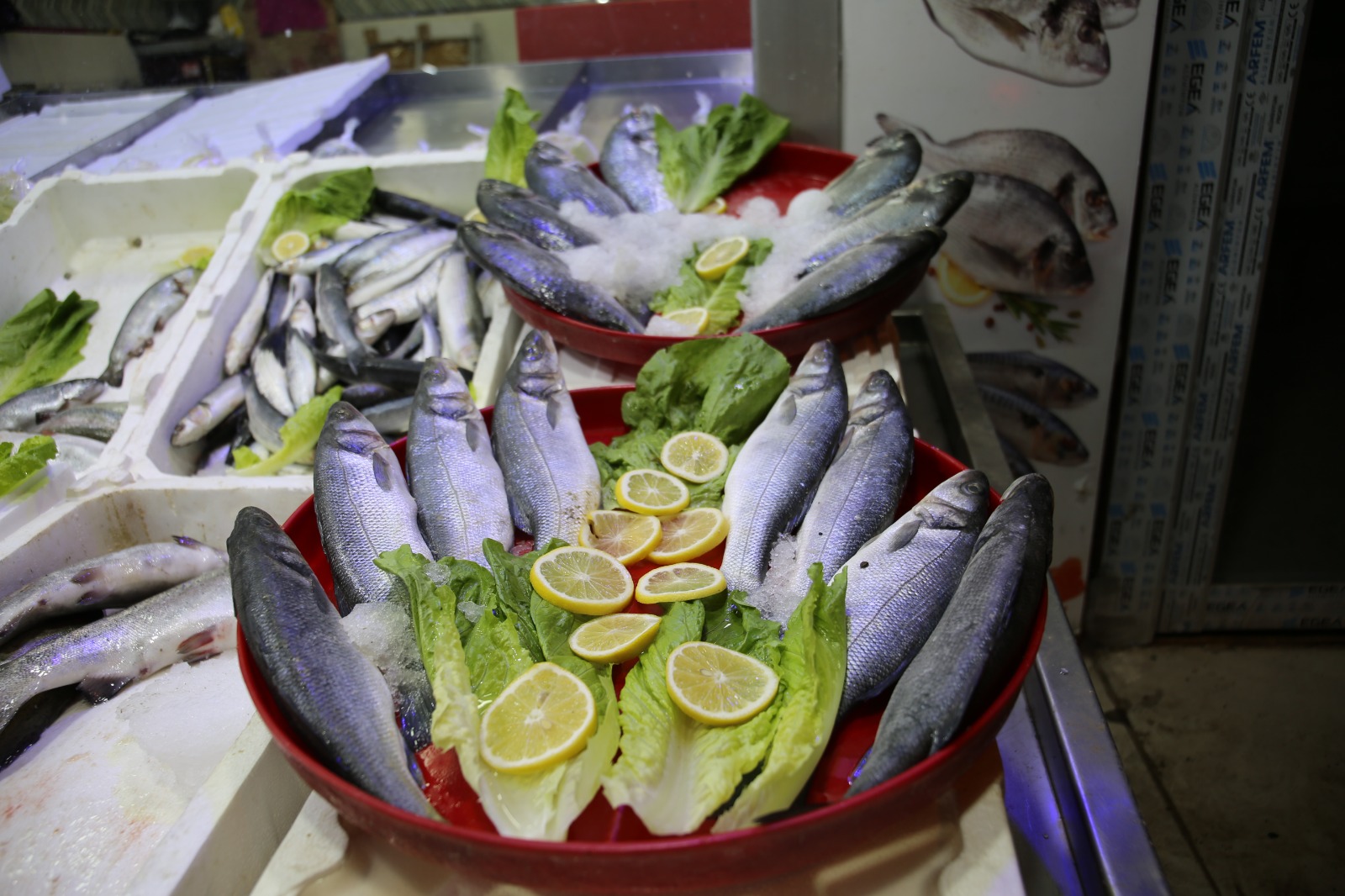 Whatsapp Image 2025 10 17 At 13.44.14 (5)