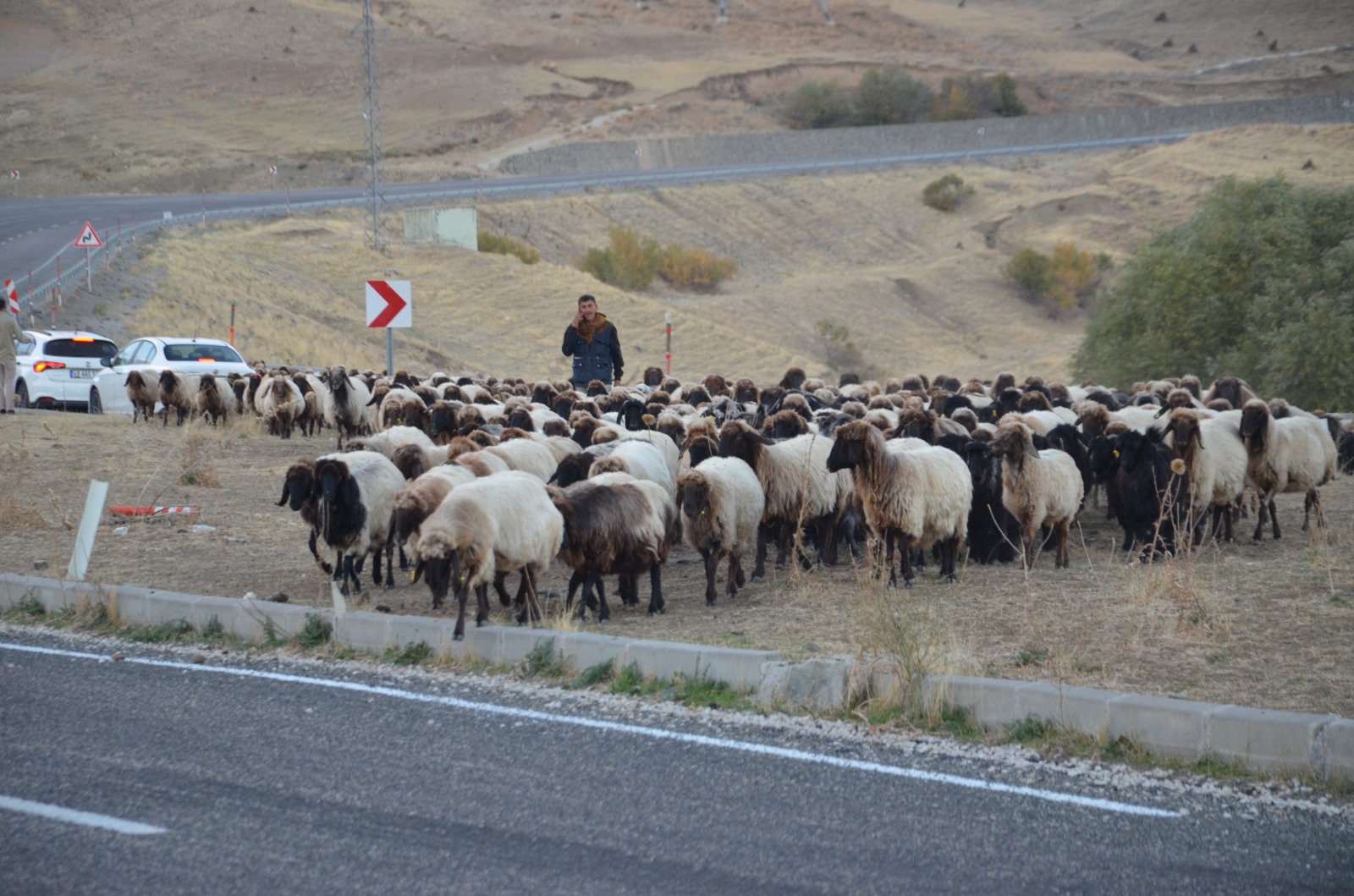 Whatsapp Image 2025 10 30 At 13.28.57 (2)