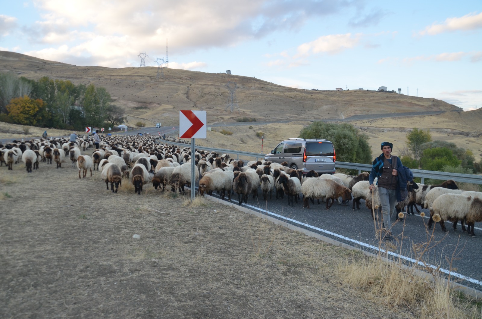 Whatsapp Image 2025 10 30 At 13.28.57 (3)