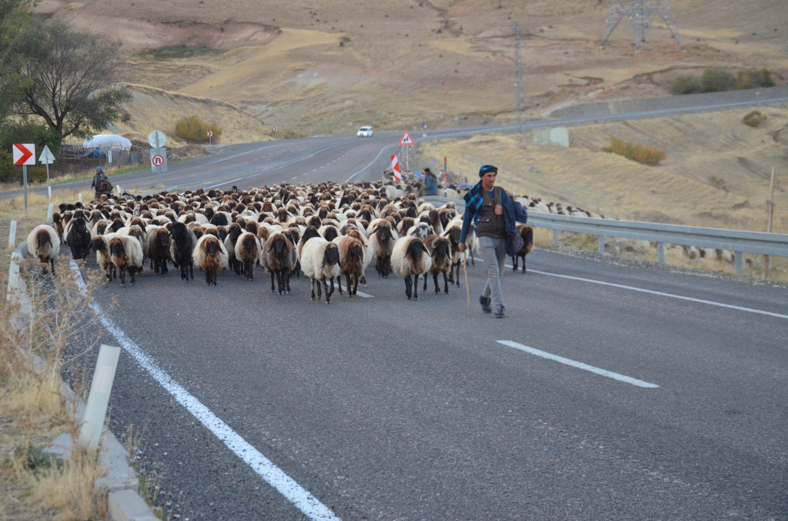 Whatsapp Image 2025 10 30 At 13.28.57 (4)