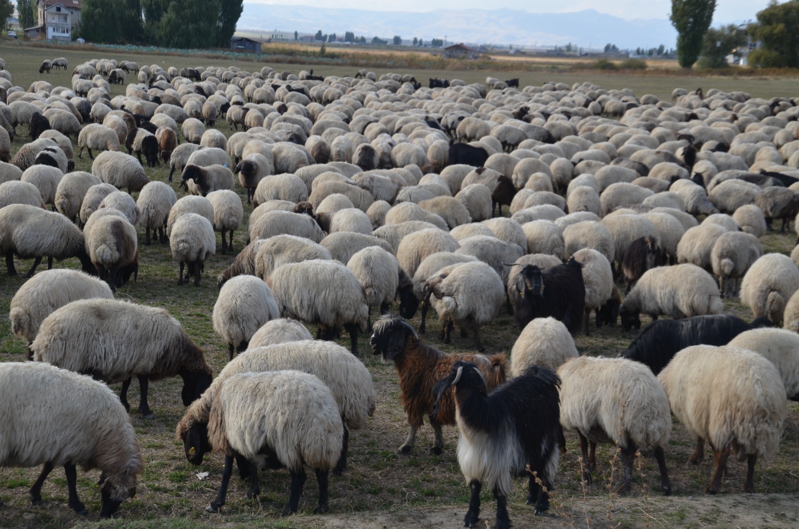 Whatsapp Image 2025 10 30 At 13.28.58 (1)