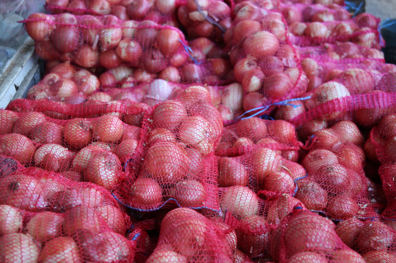 Whatsapp Image 2025 10 30 At 16.42.46 (2)