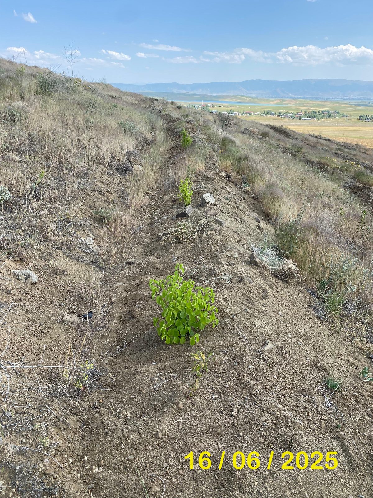 Whatsapp Image 2025 10 30 At 17.23.46