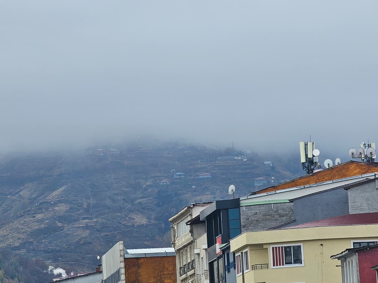 0F947D5F D317 4304 A2F2 B53A029Dd84C