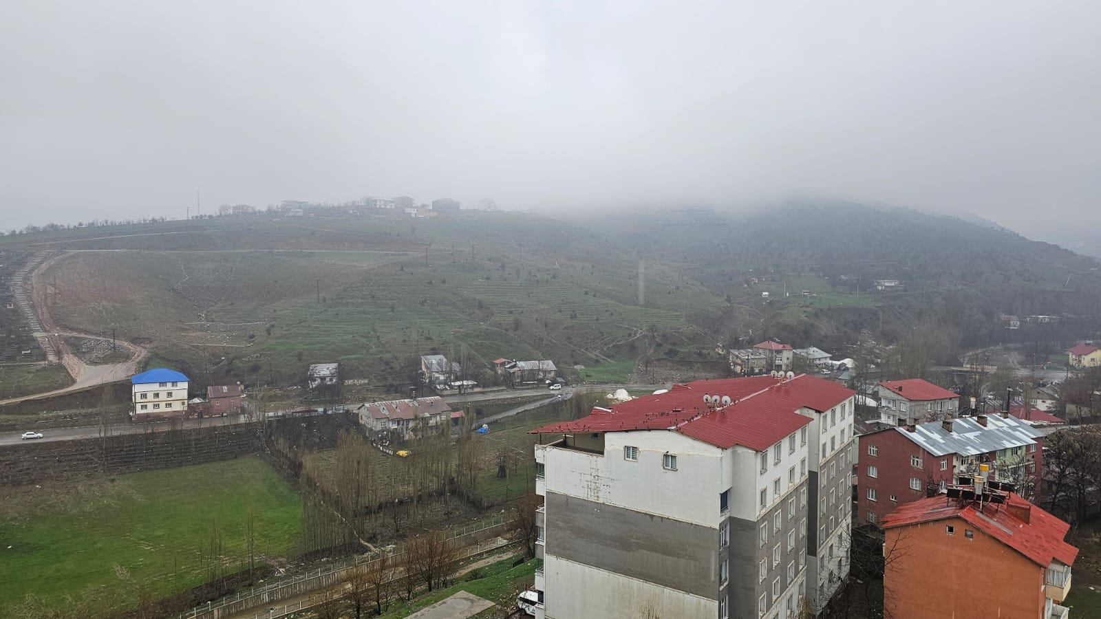 2478A56B A496 4F99 9749 4De9540B68F2