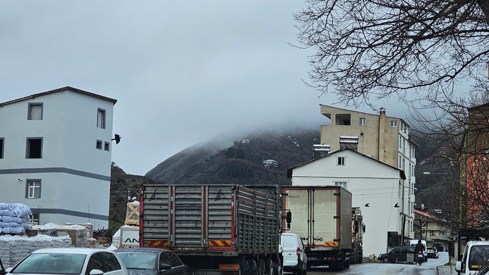 41Afa51B 7E21 4894 951B 9Bcef7Ca47Cb