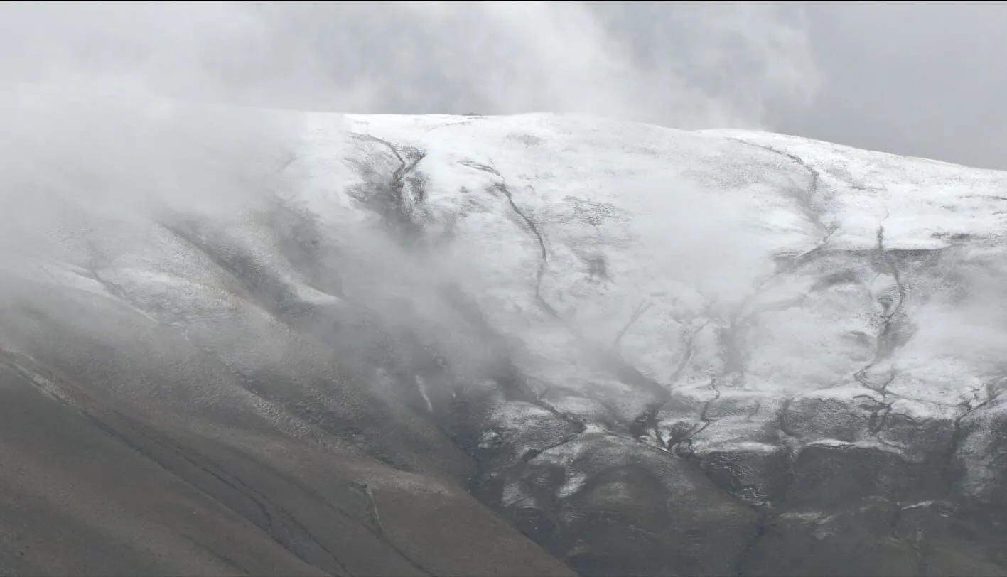 9Cea3Fde B82C 48Ae A9D8 C3E98C9B2956