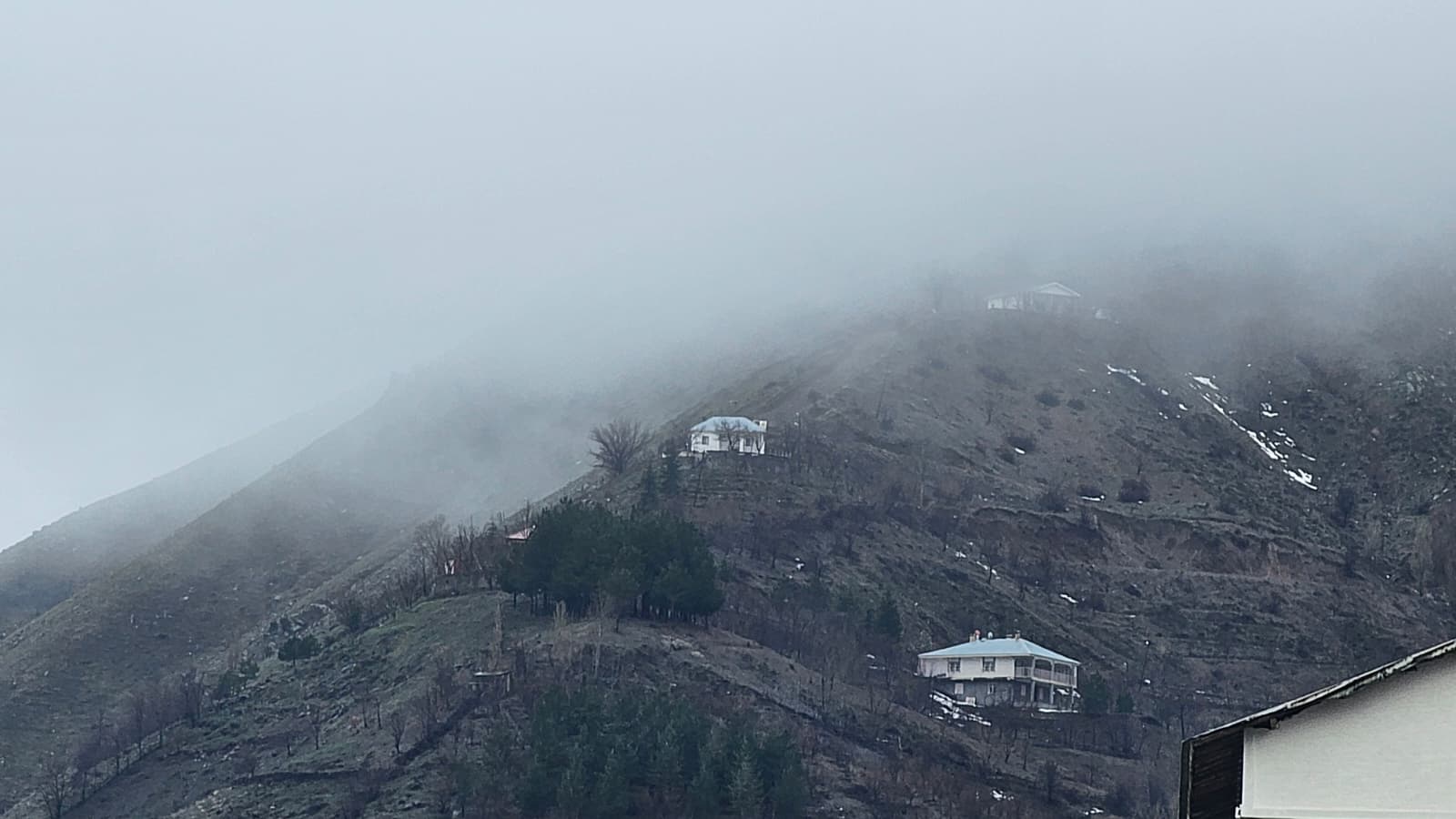 D5181107 98E4 4Fdb A4E7 Eab8D3D8A792