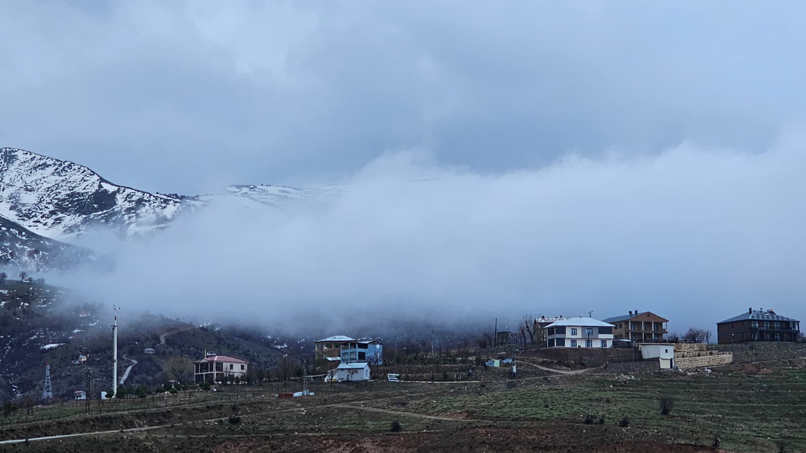 E4E98Ee9 A1Ca 495A A6C0 17954A947050