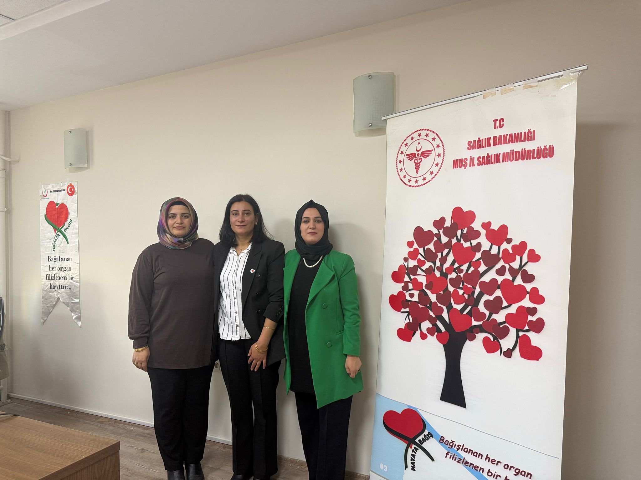 G459Yf O X E A A Q K B Z