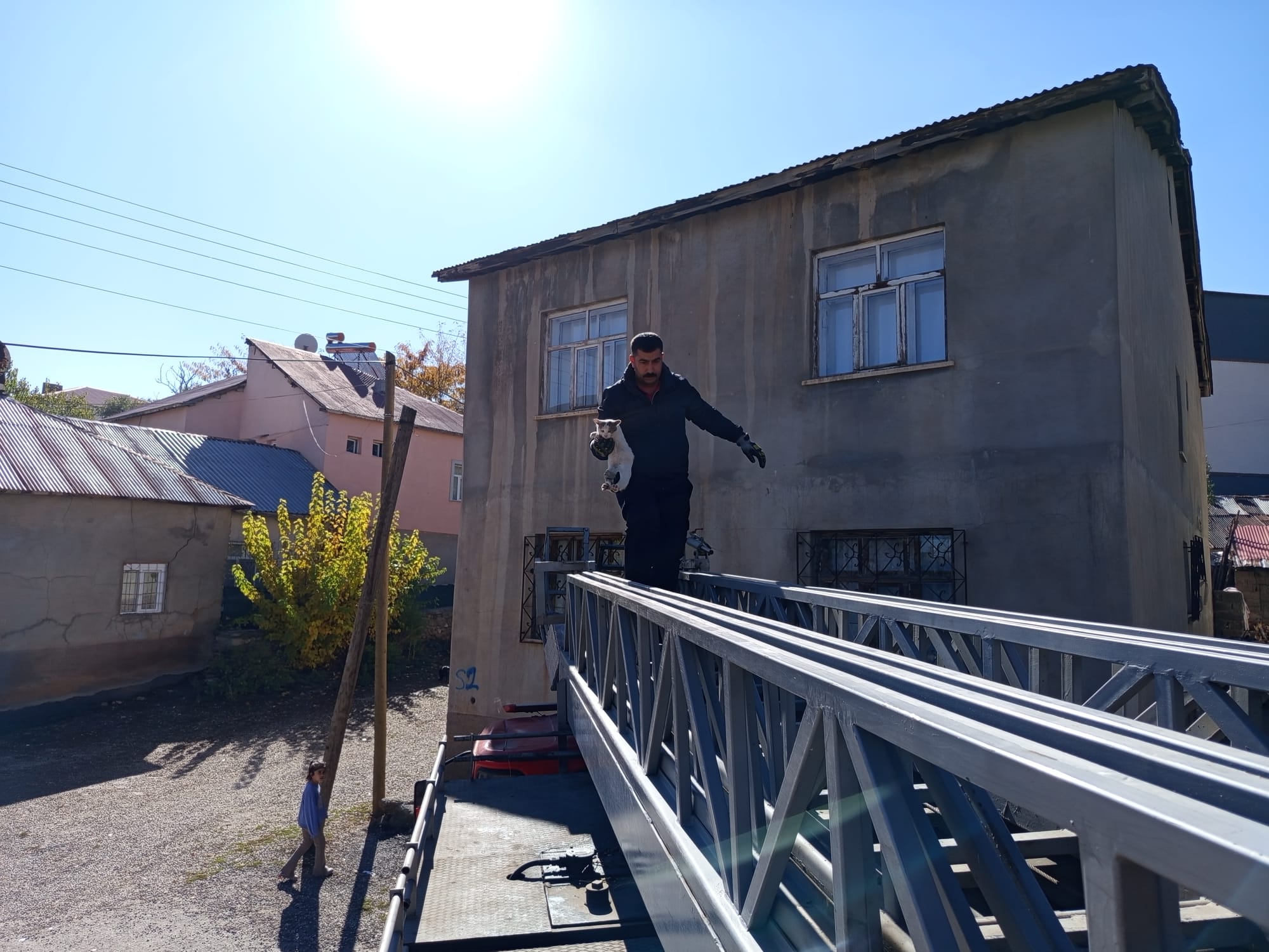 I M G 20251102 W A0009