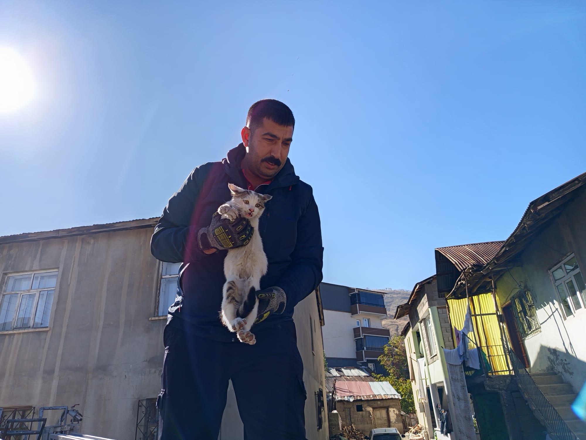 I M G 20251102 W A0013