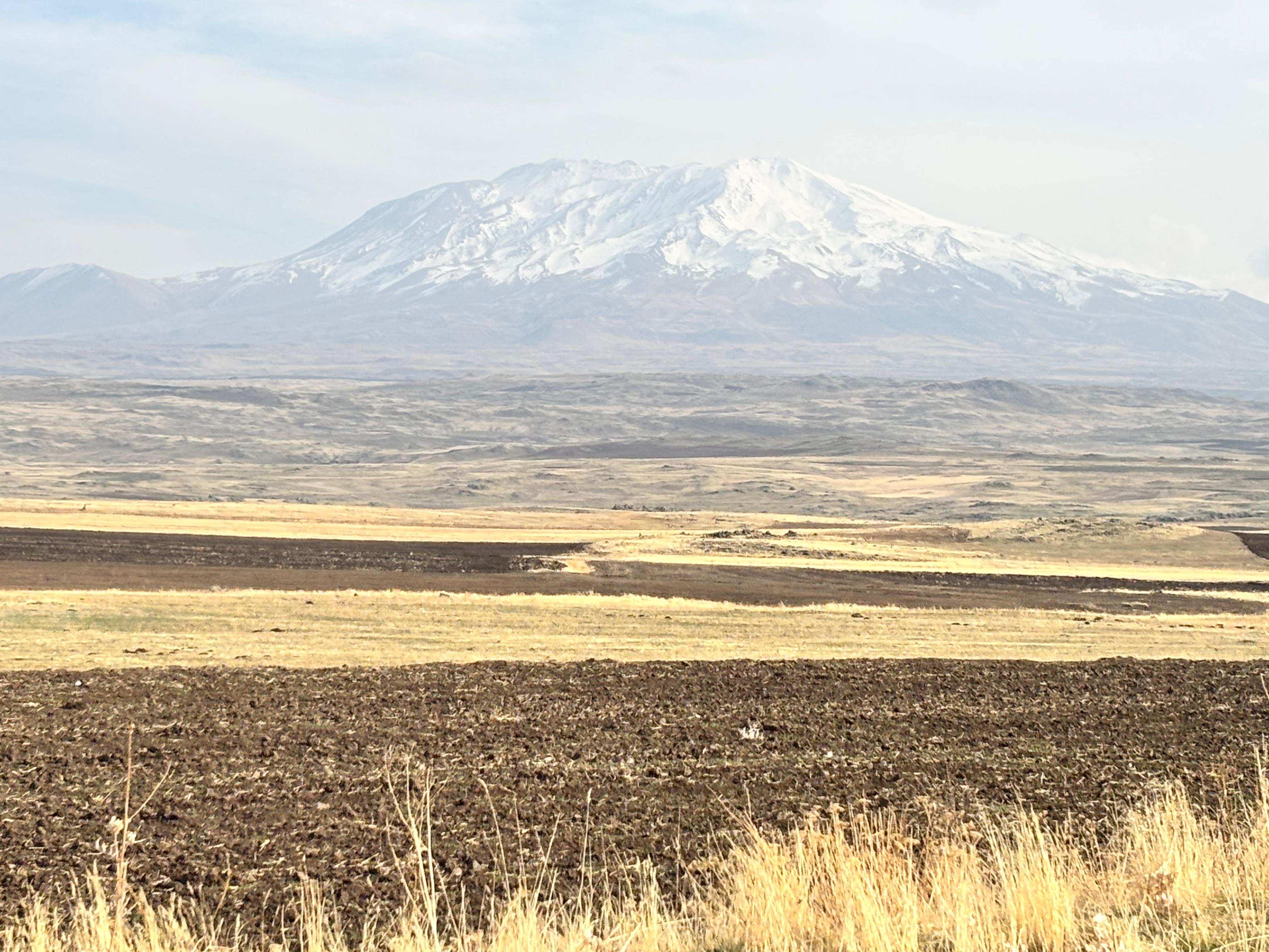 I M G 20251111 W A0024