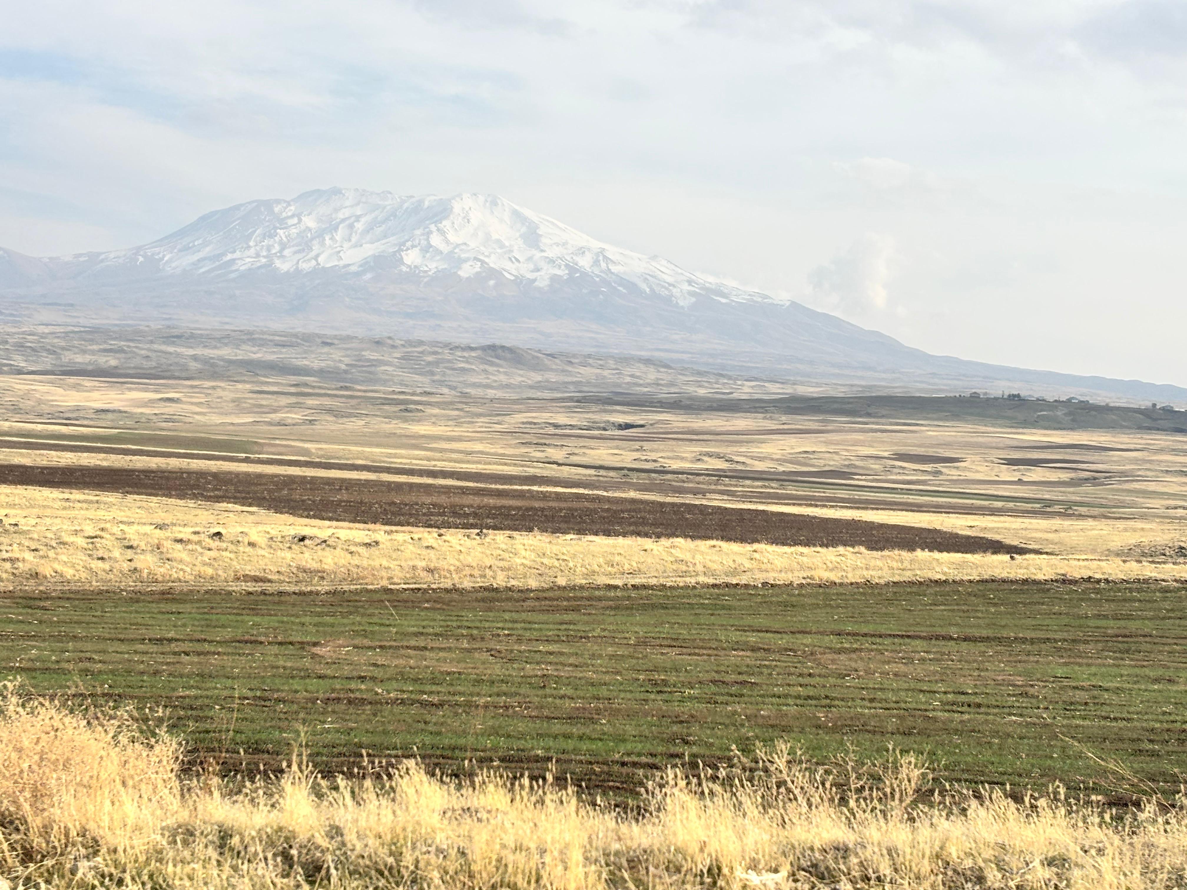 I M G 20251111 W A0028