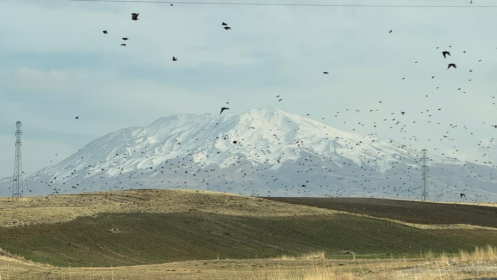 I M G 20251111 W A0030