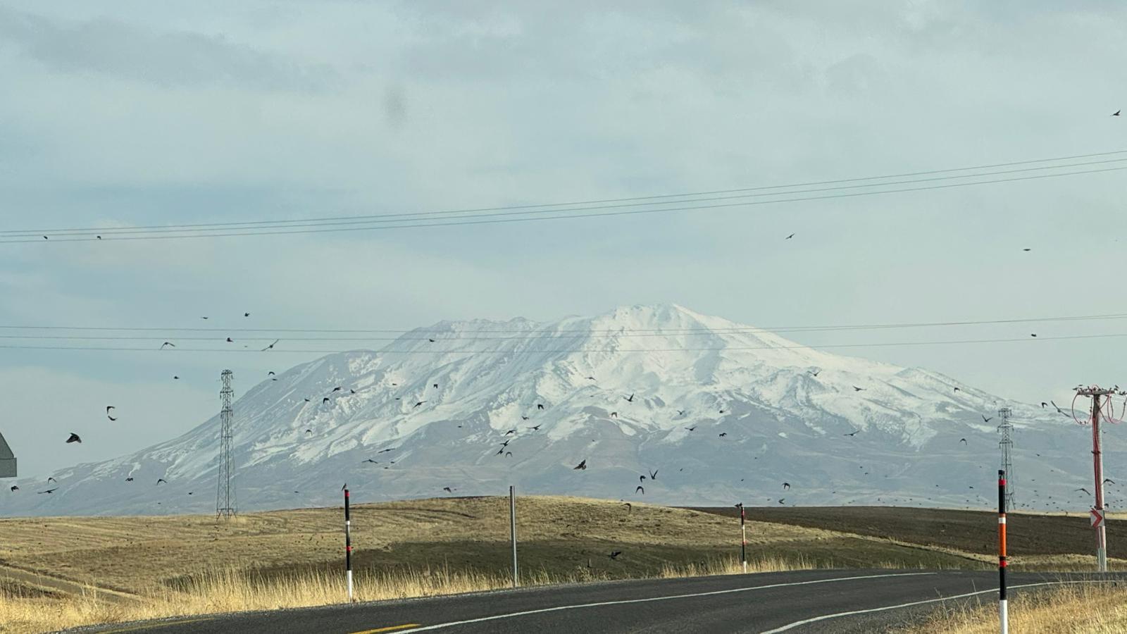 I M G 20251111 W A0032