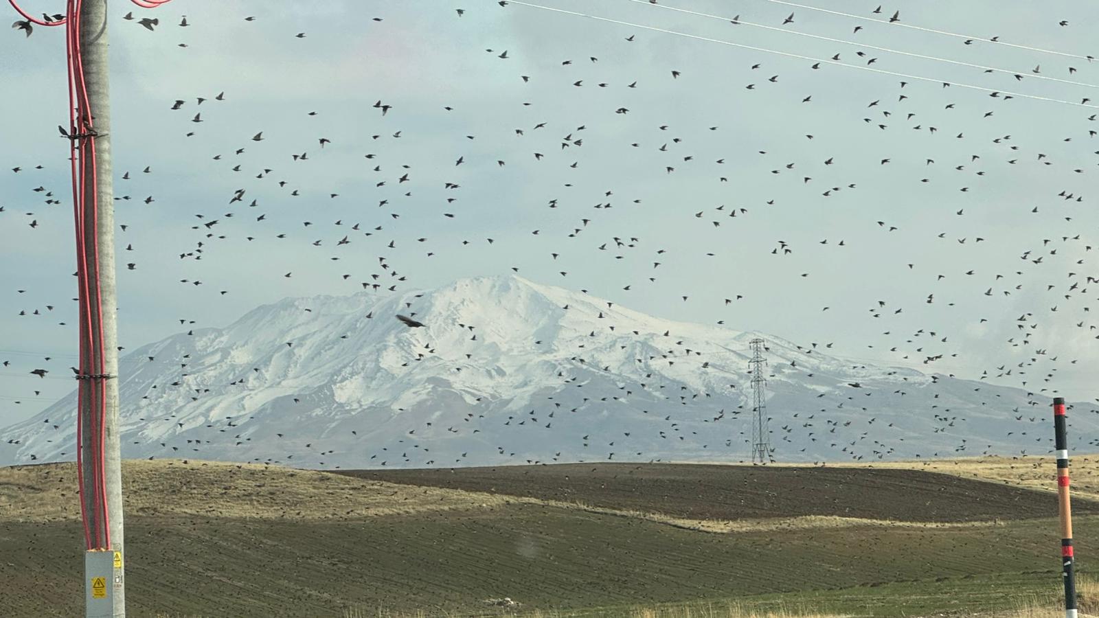 I M G 20251111 W A0034