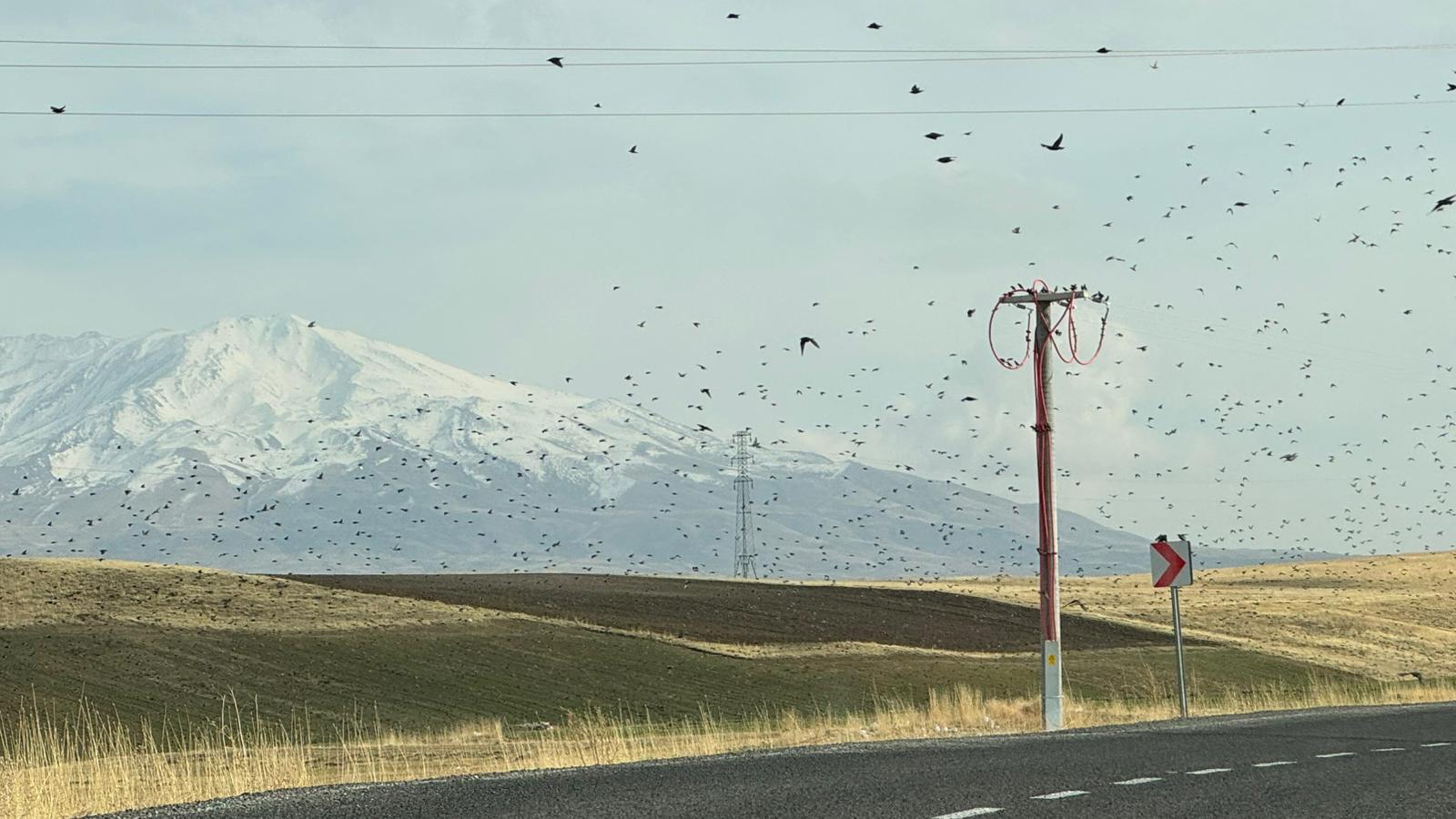 I M G 20251111 W A0042