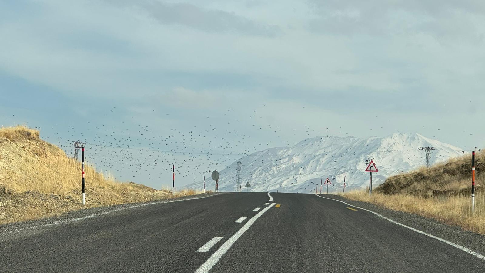 I M G 20251111 W A0043