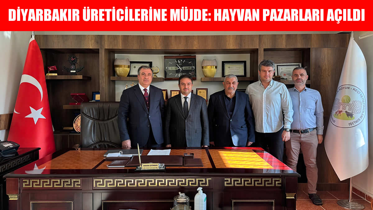 S W R T G H N B V C X S D E R G T H U J I