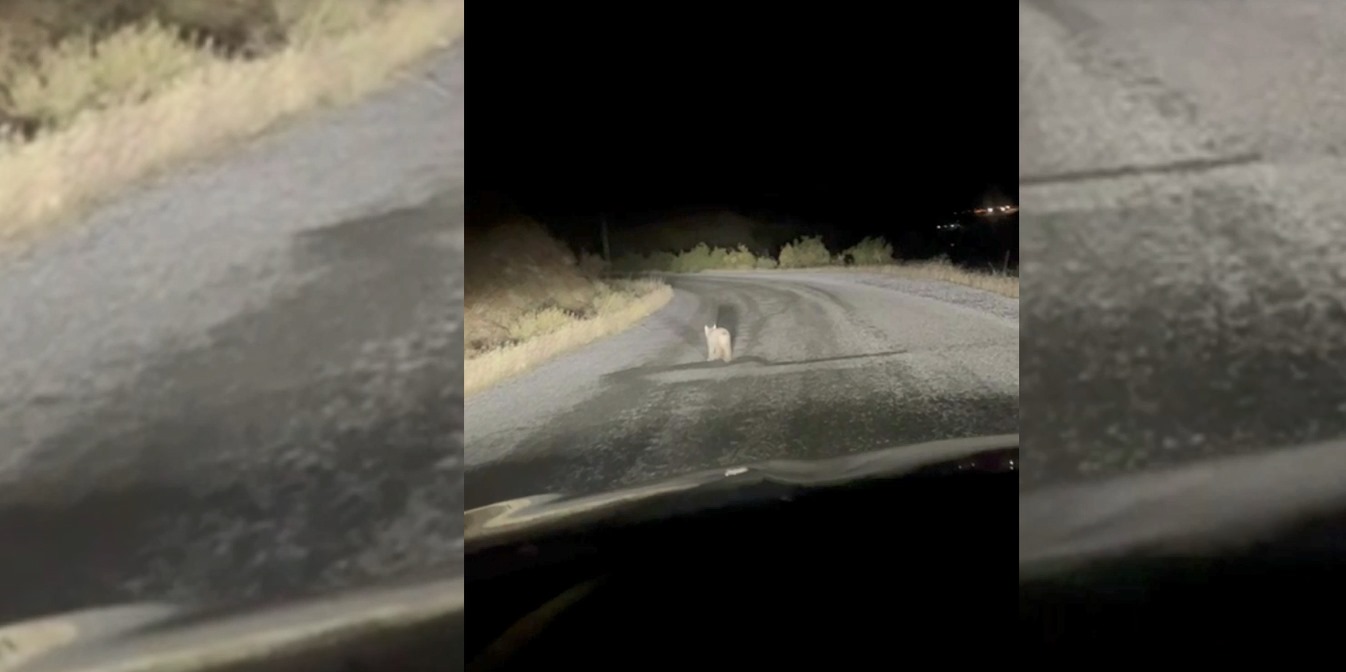 Whatsapp Görsel 2025 11 01 Saat 20.19.43 57853338