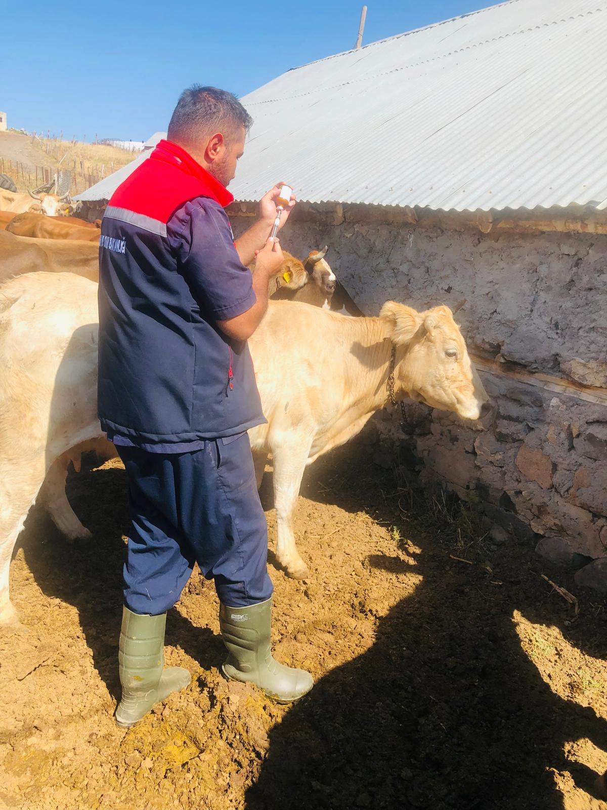 Whatsapp Image 2025 11 01 At 15.12.58 (1)