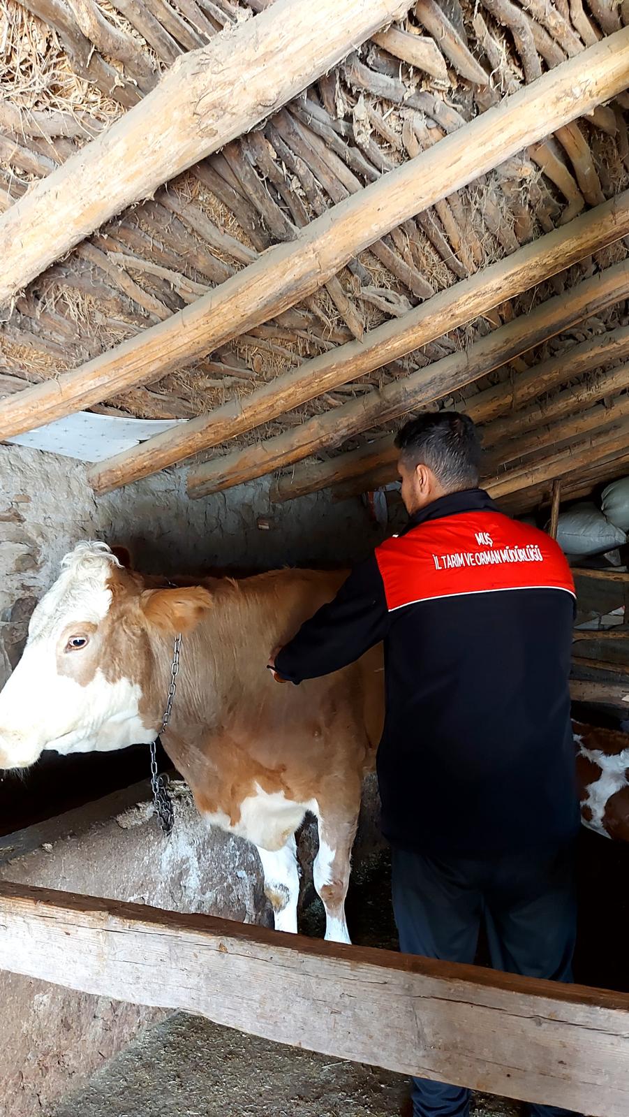 Whatsapp Image 2025 11 01 At 15.12.58