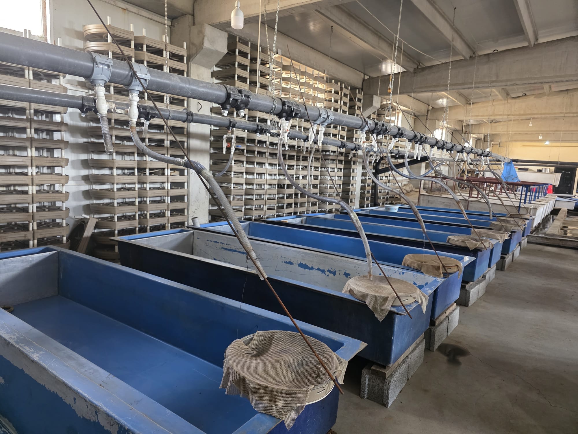 Whatsapp Image 2025 11 01 At 15.13.00 (1)