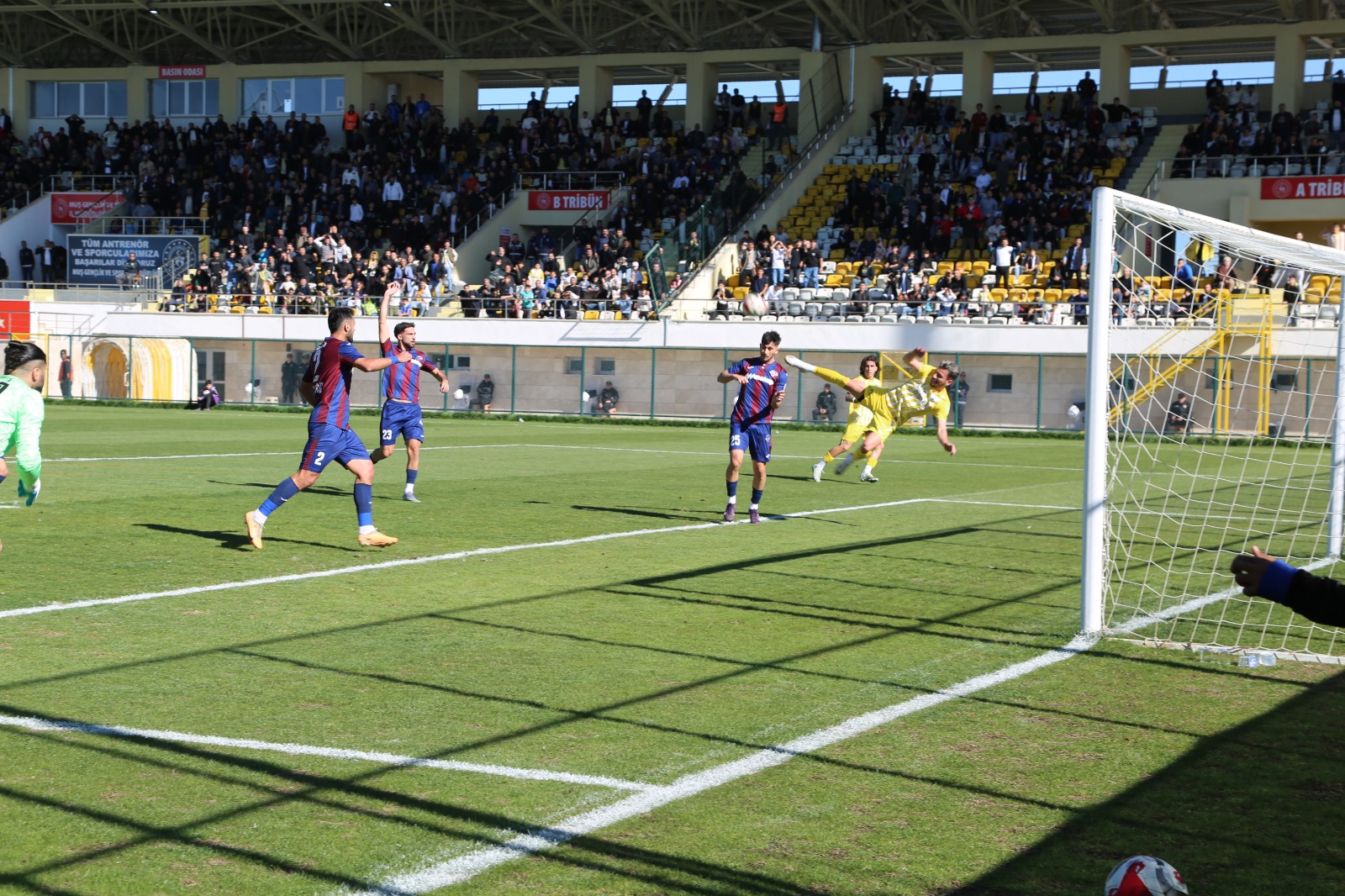 Whatsapp Image 2025 11 02 At 15.44.02 (3)