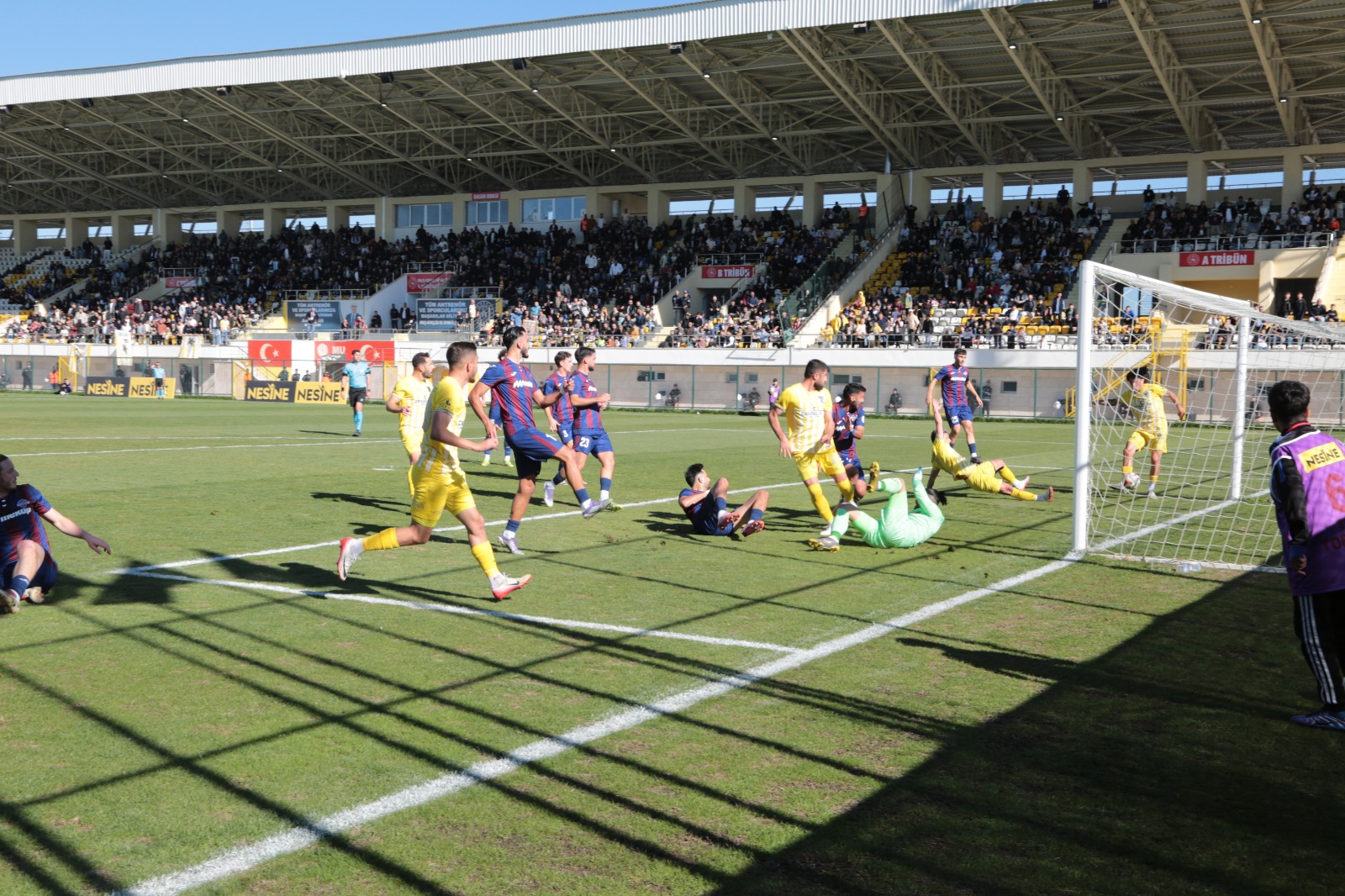 Whatsapp Image 2025 11 02 At 15.44.02 (4)