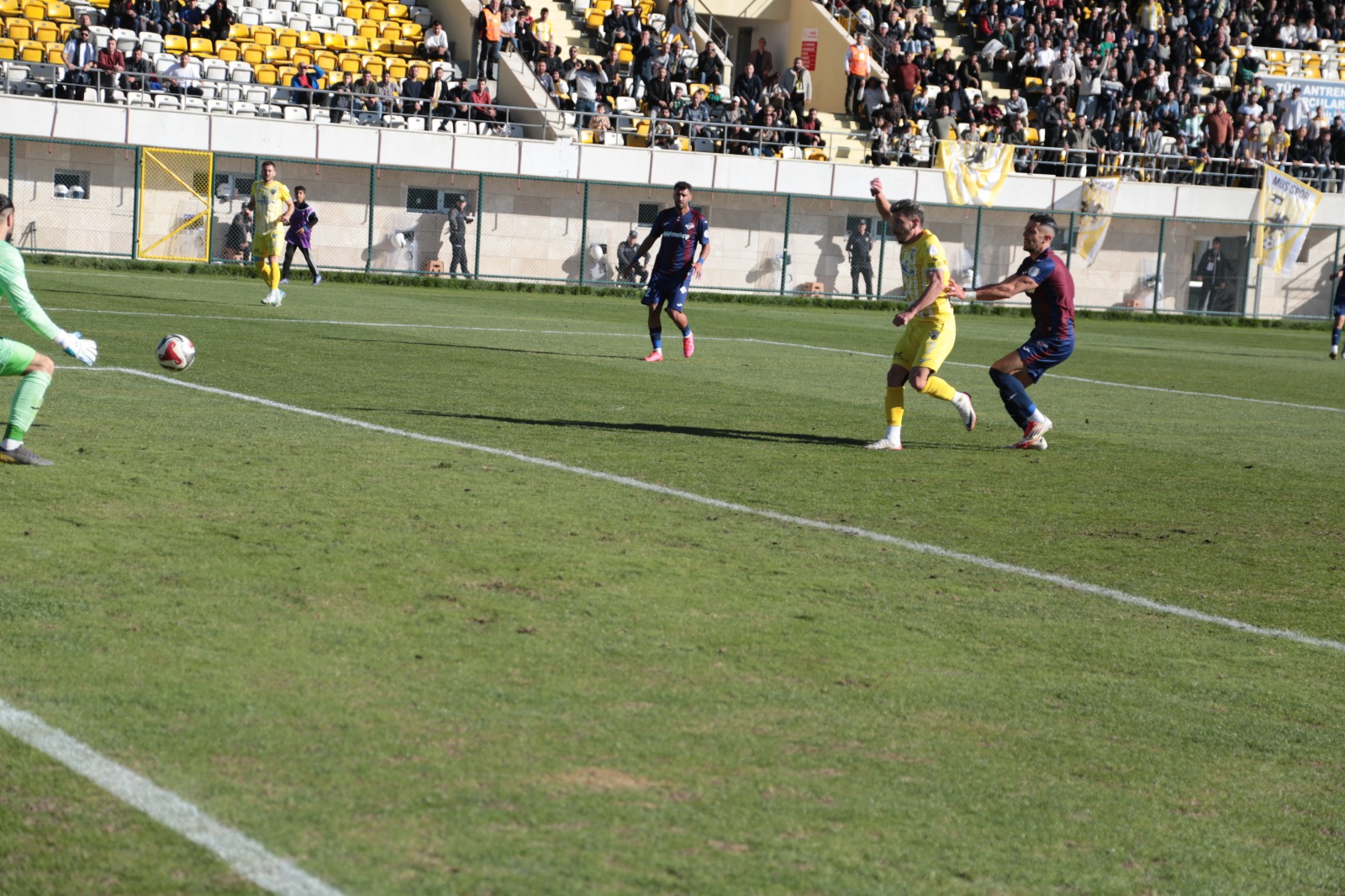 Whatsapp Image 2025 11 02 At 15.45.11