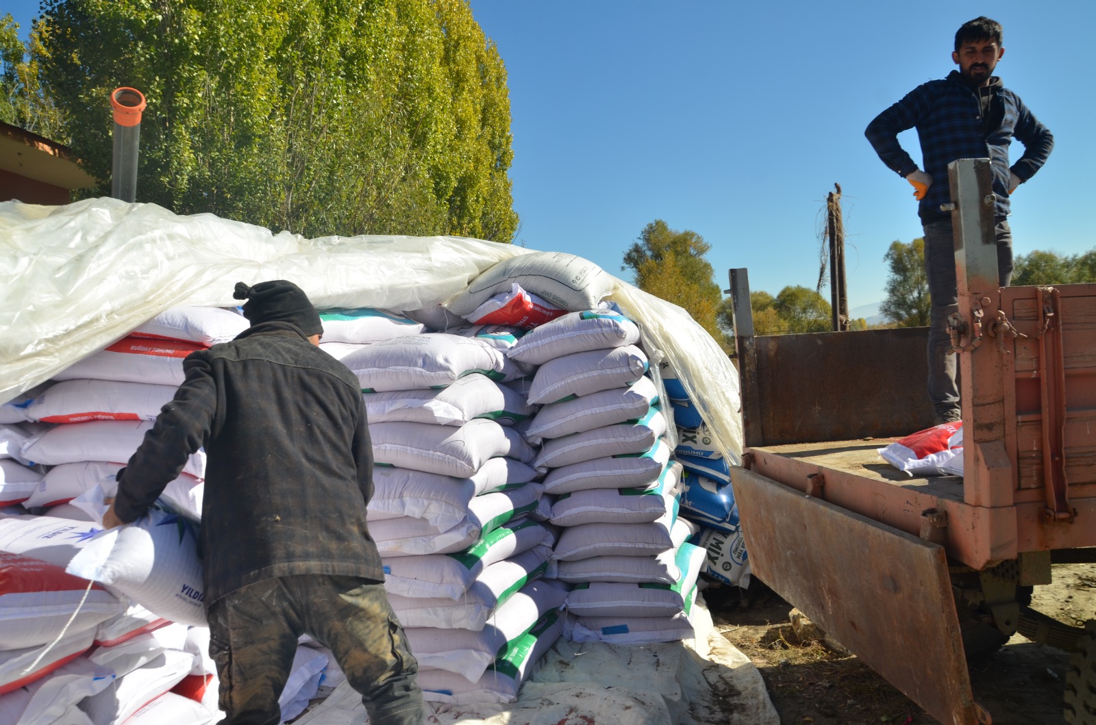 Whatsapp Image 2025 11 03 At 17.39.43 (1)