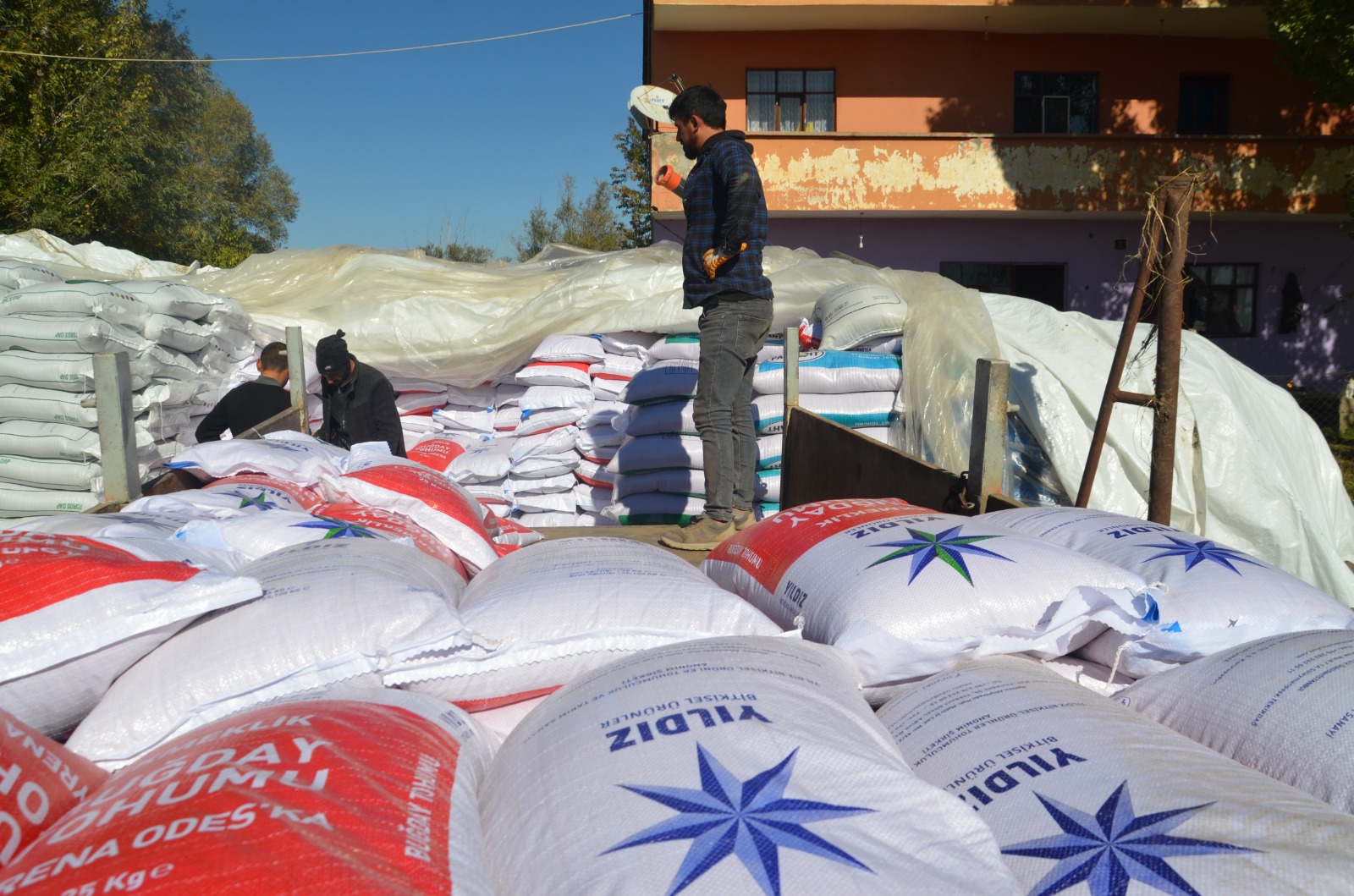 Whatsapp Image 2025 11 03 At 17.39.43 (2)