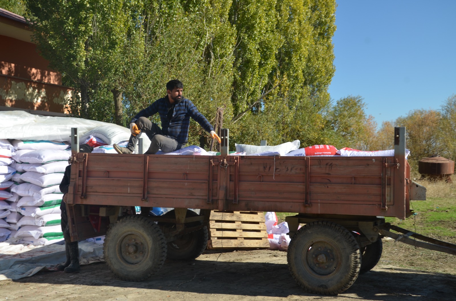 Whatsapp Image 2025 11 03 At 17.39.44