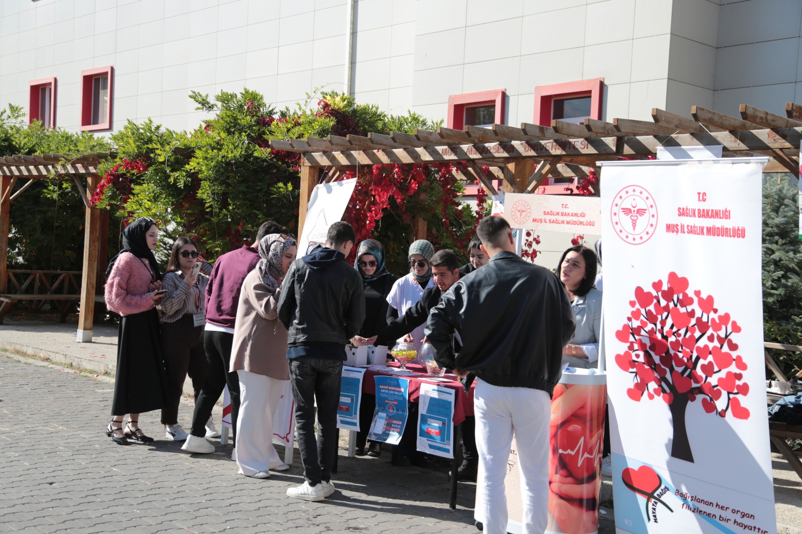 Whatsapp Image 2025 11 05 At 13.31.07 (13)